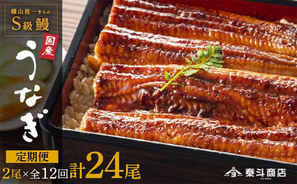 【定期便全12回】横山桂一さんのS級鰻　大2尾　×12回配送　計24尾