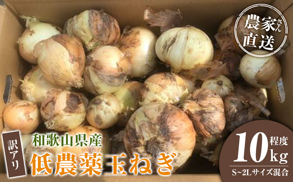 ［2026年発送分・先行予約］訳あり&nbsp;農家さん直送&nbsp;低農薬玉ねぎ&nbsp;10kg程度&nbsp;S～2L混合［4月中旬～7月中旬頃発送予定］ご家庭用&nbsp;※傷有り［KF14］