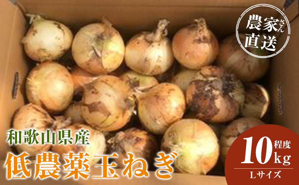 ［2026年発送分・先行予約］農家さん直送&nbsp;低農薬玉ねぎ&nbsp;Lサイズ&nbsp;10kg程度［4月中旬～7月中旬頃発送予定］［KF16］