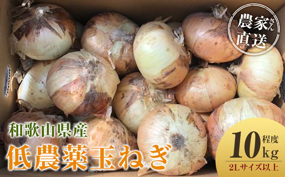 ［2026年発送分・先行予約］農家さん直送 低農薬玉ねぎ 2Lサイズ以上 10kg程度［4月中旬～7月中旬頃発送予定］［KF15］