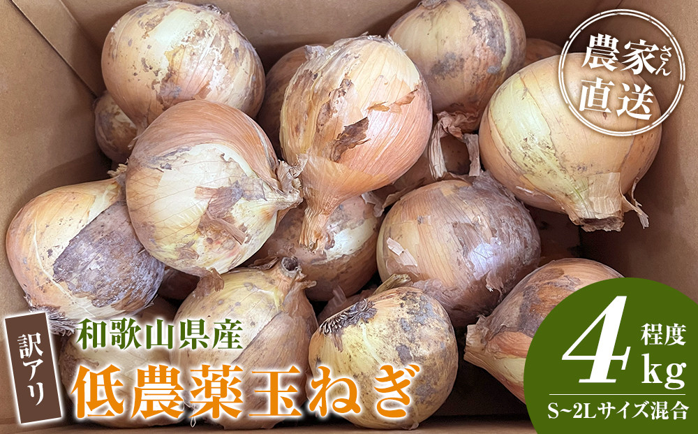 ［2026年発送分・先行予約］訳あり&nbsp;農家さん直送&nbsp;低農薬玉ねぎ&nbsp;4kg程度&nbsp;S～2L混合［4月中旬～7月中旬頃発送予定］ご家庭用&nbsp;※傷有り［KF19］