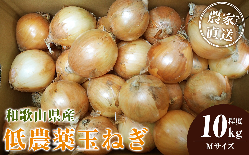 ［2026年発送分・先行予約］農家さん直送&nbsp;低農薬玉ねぎ&nbsp;Mサイズ&nbsp;10kg程度［4月中旬～7月中旬頃発送予定］［KF17］
