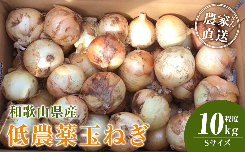 ［2026年発送分・先行予約］農家さん直送&nbsp;低農薬玉ねぎ&nbsp;Sサイズ&nbsp;10kg程度［4月中旬～7月中旬頃発送予定］［KF18］