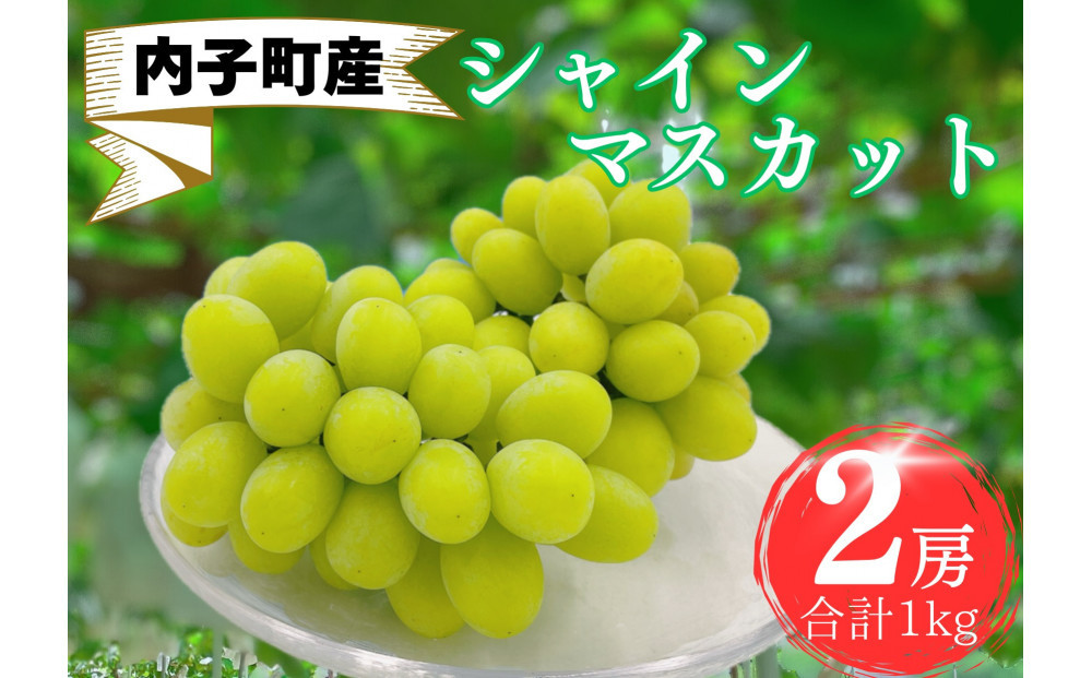 内子町産　シャインマスカット&nbsp;秀品　2房&nbsp;1.0kg&nbsp;＜2026年8月下旬～発送開始＞【シャインマスカット&nbsp;大人気&nbsp;愛媛県&nbsp;シャインマスカット&nbsp;美味しいシャインマスカット&nbsp;人気&nbsp;シャインマスカット&nbsp;皮ごとシャインマスカット&nbsp;シャインマスカット&nbsp;葡萄&nbsp;シャインマスカット&nbsp;ブドウ&nbsp;愛媛県産&nbsp;新鮮&nbsp;シャインマスカット&nbsp;旬&nbsp;フルーツ&nbsp;果物&nbsp;くだもの】
