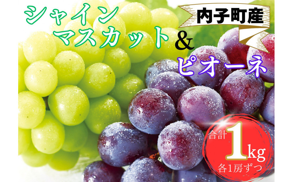 内子町産　シャインマスカット・ピオーネのセット 1.0kg
