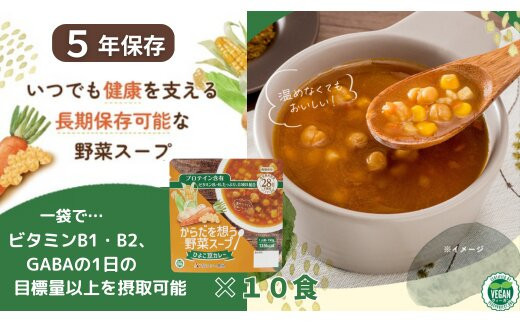 【からだを想う野菜スープ】ひよこ豆カレー10食セット/レトルト/食物アレルギー対応/長期保存/防災食