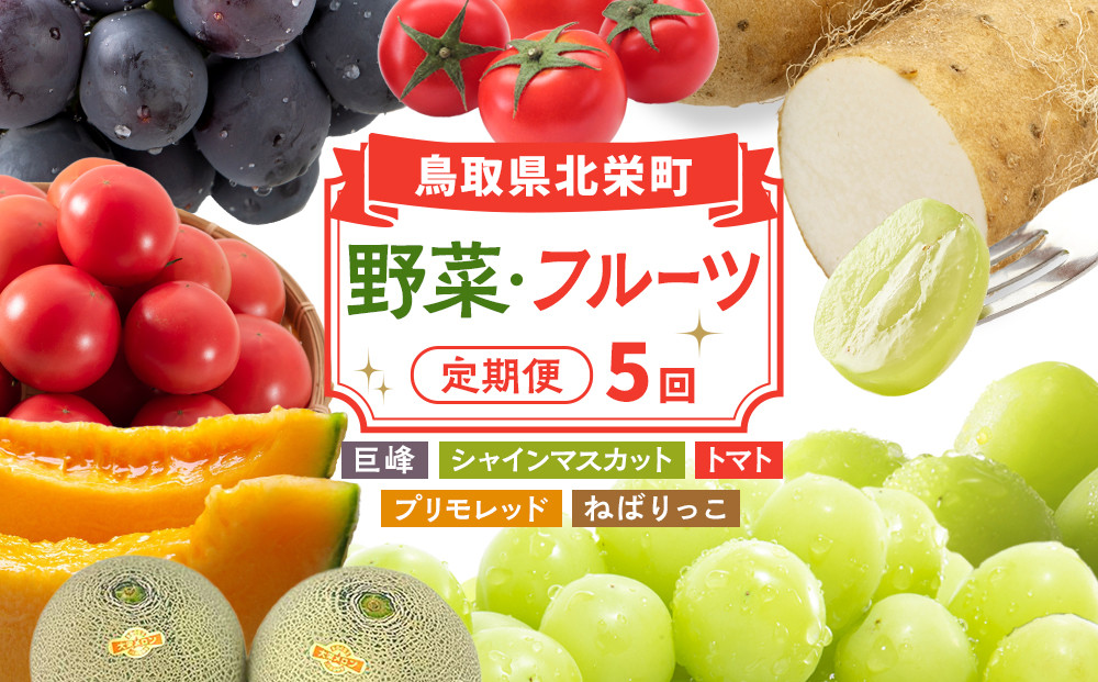 1015.【先行予約&nbsp;2026年8月以降発送】&nbsp;鳥取県北栄町から旬の美味しさをお届け！特産づくし【5回定期便】（巨峰・シャインマスカット・プリモレッド・トマト・ねばりっこ）