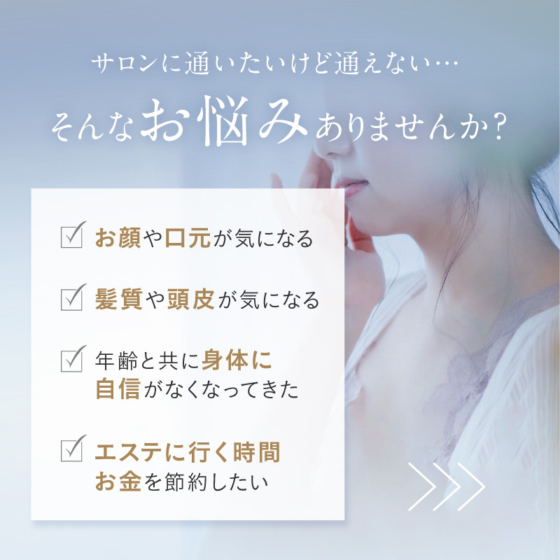 NIPLUX EMS ヘッド・フェイシャルケア HEAD SPA PREMIUM