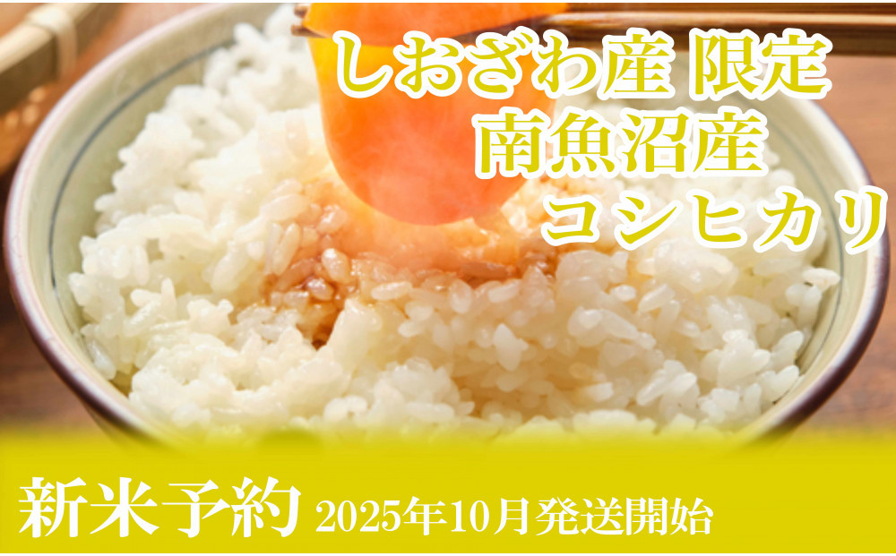 【令和7年産】定期便12ヶ月：精米2kgしおざわ産限定&nbsp;南魚沼産コシヒカリ