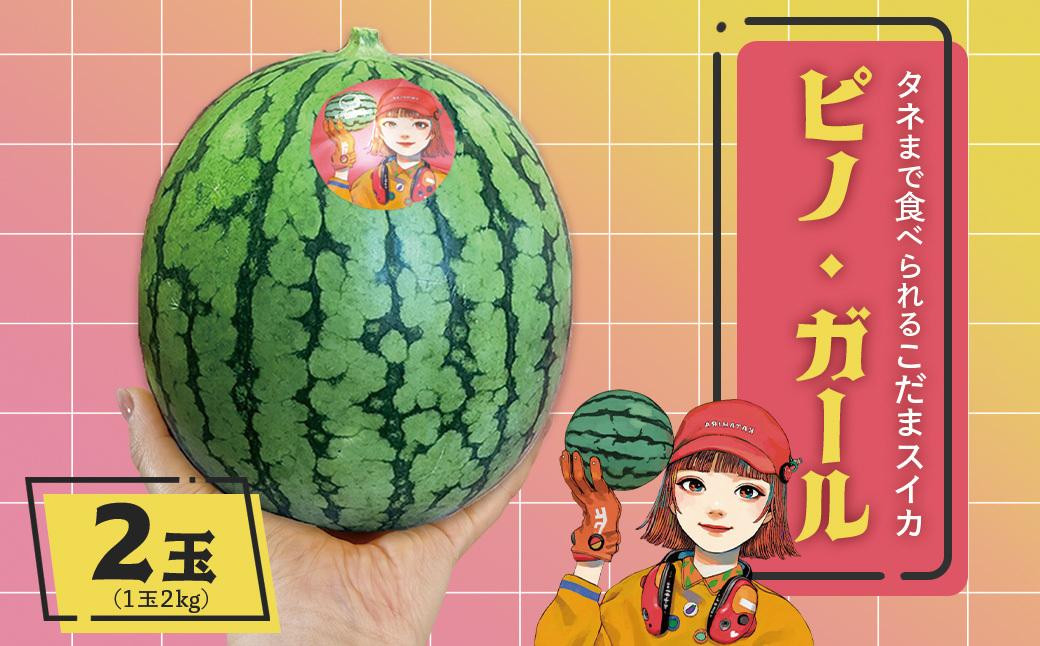 小玉&nbsp;すいか「ピノ・ガール」2玉（約2kg×2玉）|&nbsp;&nbsp;こだますいか&nbsp;スイカ&nbsp;すいか&nbsp;西瓜&nbsp;果物&nbsp;人気&nbsp;おすすめ&nbsp;旬&nbsp;夏&nbsp;シャリ&nbsp;さっぱり&nbsp;甘い&nbsp;フルーツ&nbsp;くだもの&nbsp;デザート&nbsp;果汁&nbsp;季節限定&nbsp;夏季限定&nbsp;期間限定&nbsp;お取り寄せ&nbsp;鹿児島県&nbsp;大崎町