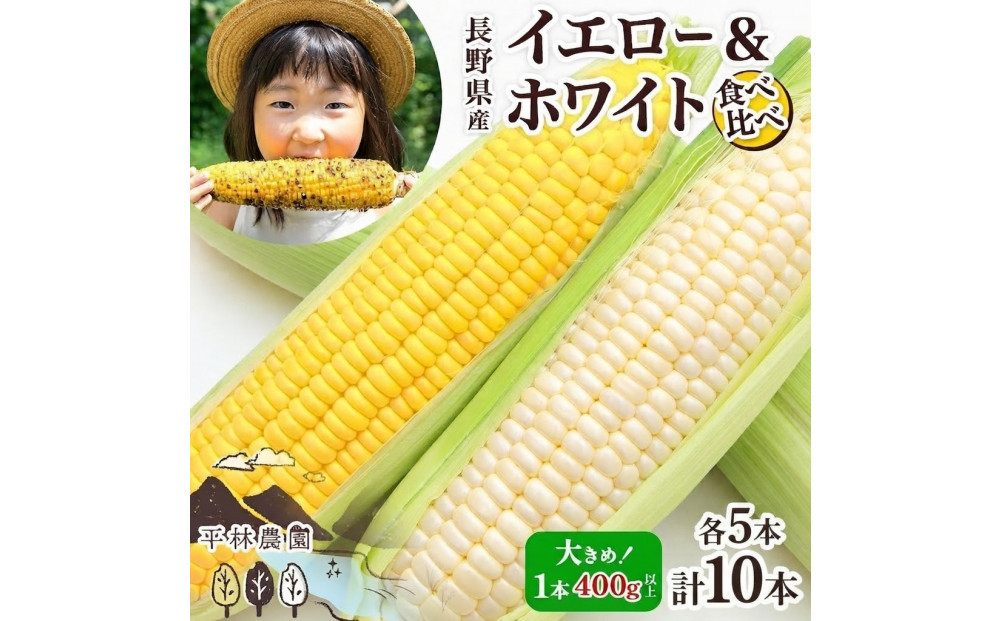 とうもろこし&nbsp;イエロー&nbsp;＆&nbsp;ホワイト&nbsp;食べ比べ&nbsp;400g以上&nbsp;各5本&nbsp;計10本&nbsp;ゴールドラッシュ&nbsp;ピュアホワイト&nbsp;コーン&nbsp;玉蜀黍&nbsp;農家直送&nbsp;産直&nbsp;信州&nbsp;人気&nbsp;お取り寄せ&nbsp;平林農園&nbsp;送料無料&nbsp;長野県&nbsp;大町市
