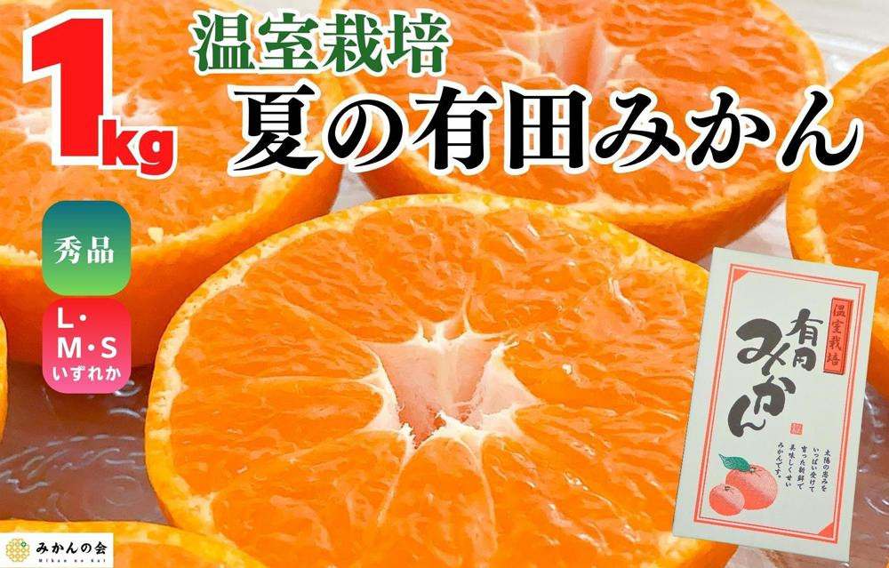 【お中元】ハウスみかん&nbsp;温室栽培&nbsp;夏の有田みかん&nbsp;約1kg&nbsp;秀品&nbsp;S・M・Lサイズのいずれか&nbsp;和歌山県&nbsp;産地直送&nbsp;みかんの会&nbsp;【7月上旬～8月上旬に順次発送】