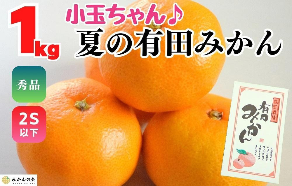 【お中元】小玉ちゃん&nbsp;ハウスみかん&nbsp;温室栽培&nbsp;夏の有田みかん&nbsp;約1kg&nbsp;秀品&nbsp;2Sサイズ以下&nbsp;和歌山県&nbsp;産地直送&nbsp;みかんの会&nbsp;【7月上旬～8月上旬に順次発送】