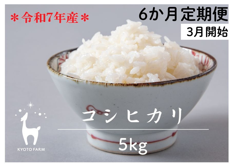 〈6か月定期便〉令和7年産京都ファームのコシヒカリ&nbsp;精米&nbsp;毎月5kg×6回(2026年3月～8月)［&nbsp;京都&nbsp;京北産&nbsp;コシヒカリ精米&nbsp;おいしい&nbsp;人気&nbsp;おすすめ&nbsp;米&nbsp;コメ&nbsp;コシヒカリ&nbsp;お取り寄せ&nbsp;通販&nbsp;送料無料&nbsp;ふるさと納税&nbsp;］
