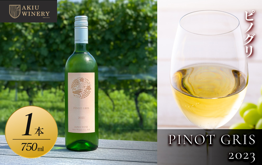 ピノグリ　PINOT GRIS 2023　750ml×1本【 白ワイン お酒 アルコール アルコール飲料 晩酌 家飲み 宅飲み 飲み会 集まり バーベキュー BBQ イベント 飲み物】