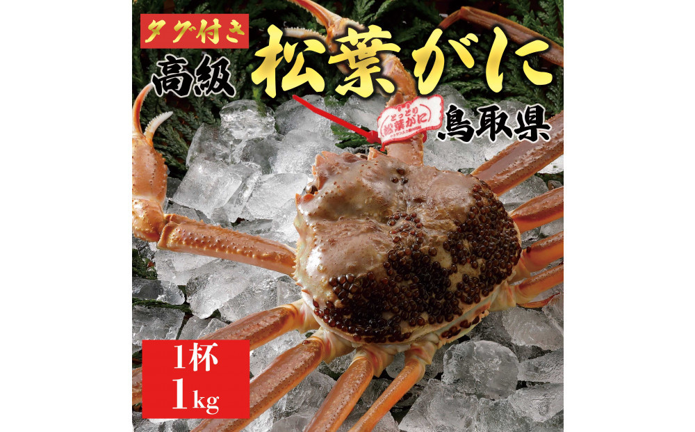 【2025年12月～2026年1月発送】特撰 松葉がに（なま）【ブランドタグ付き】1kg超の大きいサイズ 食べ応えあり 特大1杯