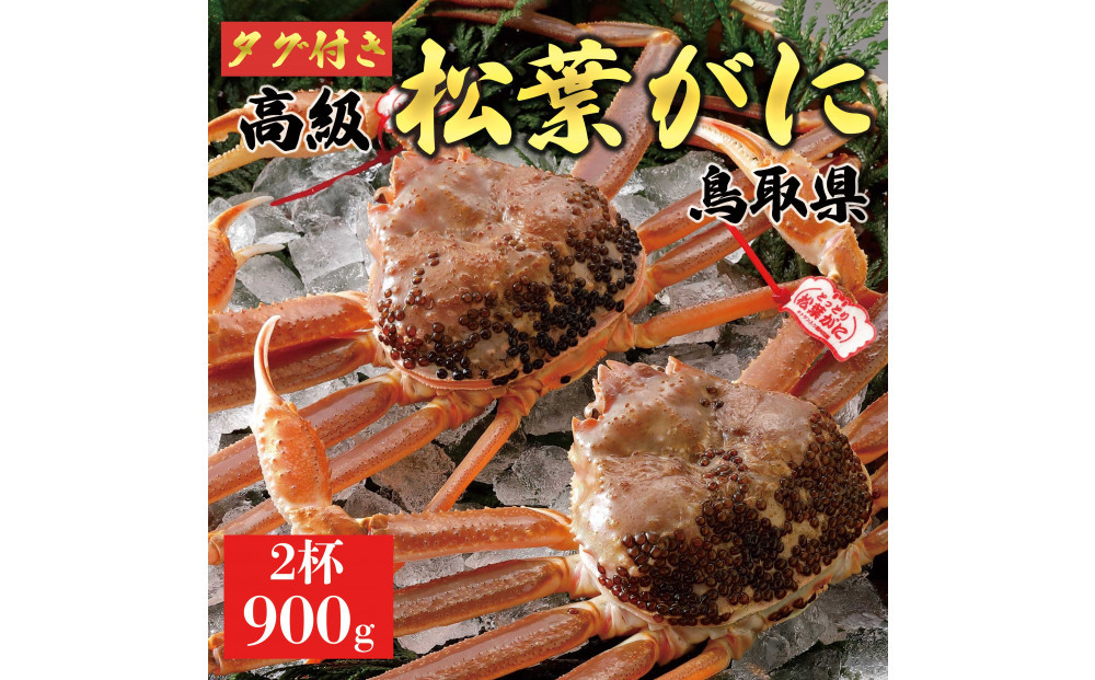 【2026年1月～2026年3月発送】特撰&nbsp;松葉がに（なま）【ブランドタグ付き】900g超の大きいサイズ&nbsp;食べ応えあり&nbsp;特大2杯