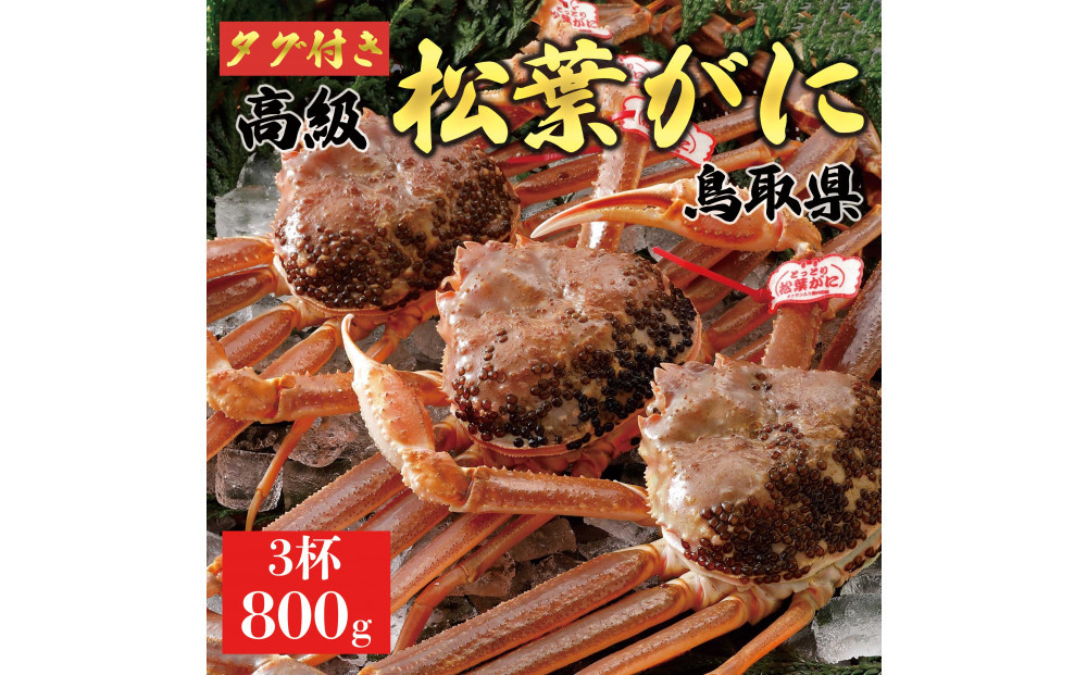 【2025年12月～2026年1月発送】特撰&nbsp;松葉がに（なま）【ブランドタグ付き】800g超の大きいサイズ&nbsp;食べ応えあり&nbsp;特大3杯