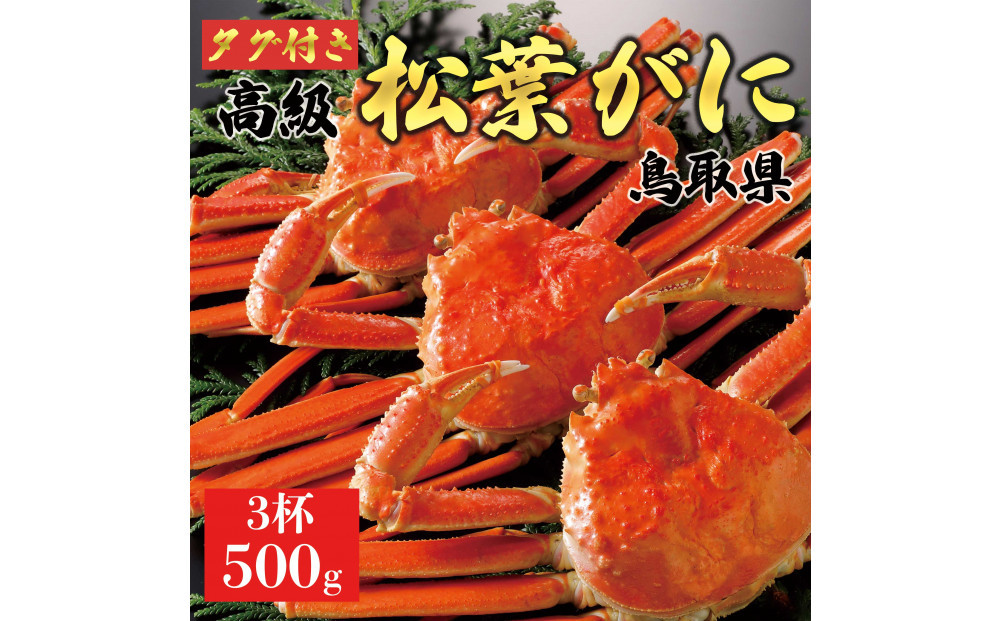【2025年12月～2026年1月発送】特撰&nbsp;松葉がに（茹）【ブランドタグ付き】500g超のサイズ&nbsp;&nbsp;3杯