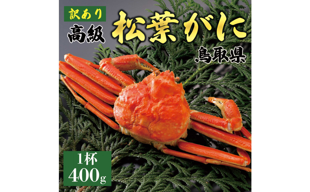【2025年12月～2026年1月発送】特撰&nbsp;松葉がに（茹）【訳あり】400g超のサイズ&nbsp;&nbsp;1杯