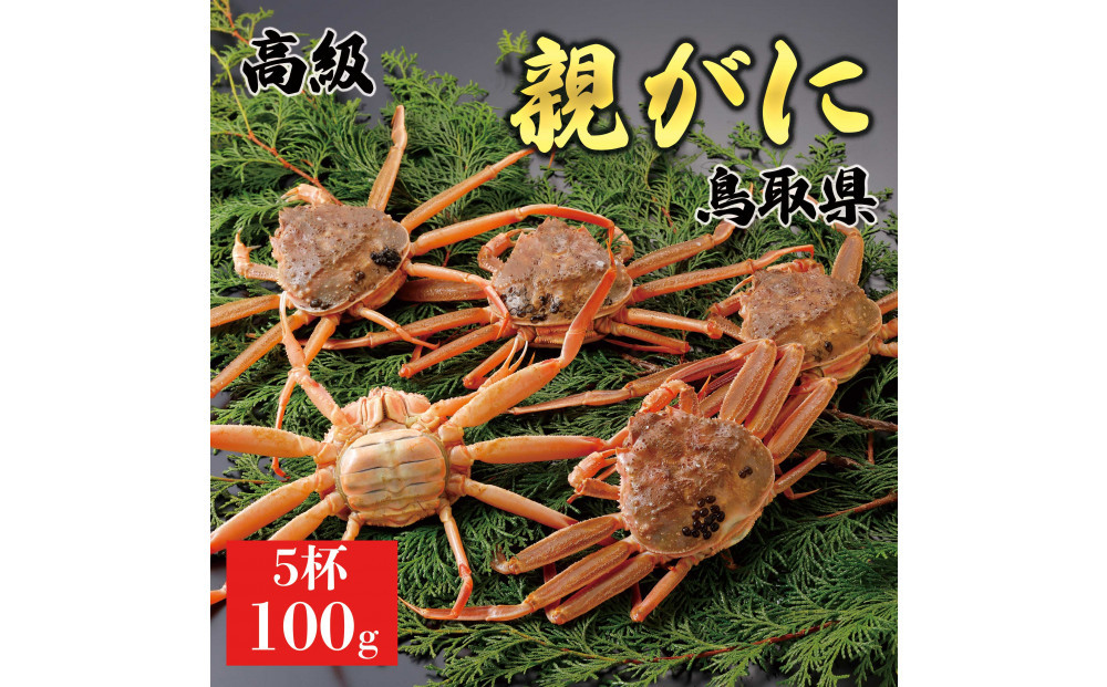 【2025年12月発送】鳥取県産&nbsp;特撰&nbsp;親がに&nbsp;姿【セコガニ】（なま）100g　5杯