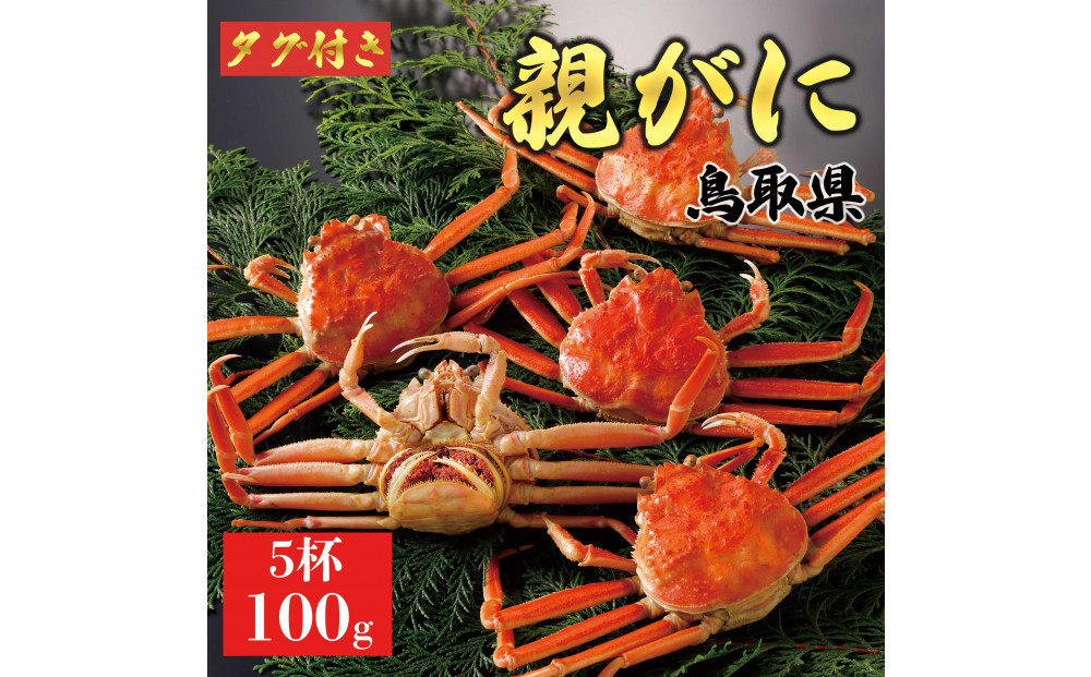 【2025年12月発送】鳥取県産&nbsp;特撰&nbsp;親がに&nbsp;姿【セコガニ】（茹）100g&nbsp;5杯