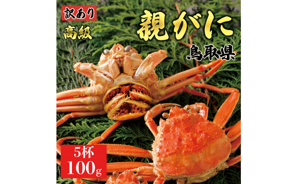 【2025年12月発送】鳥取県産&nbsp;特撰&nbsp;親がに&nbsp;姿【セコガニ】（茹）【訳あり】100g&nbsp;5杯