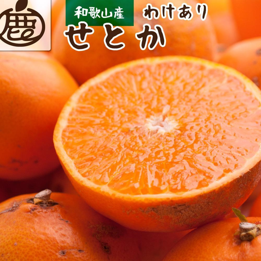 家庭用&nbsp;せとか10kg+250g（傷み補償分）［柑橘・春みかんの王様］［わけあり・訳あり］［光センサー選果・食べ頃出荷］［IKE256］