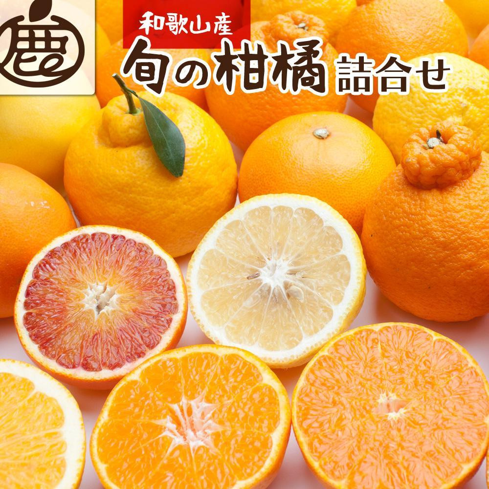 ［先行予約］厳選&nbsp;柑橘詰合せ1kg+250g（傷み補償分）［有田の春みかん詰め合わせ・フルーツ詰め合せ・オレンジつめあわせ］［光センサー選別］［IKE157］