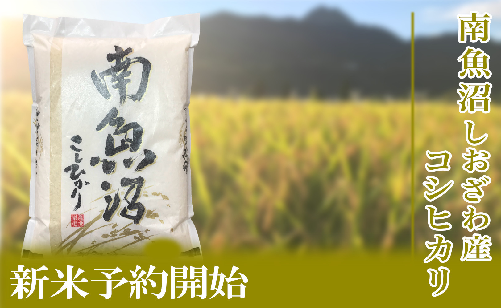 【令和8年産　新米予約】定期便／２kg×3ヶ月&nbsp;生産者限定&nbsp;南魚沼しおざわ産コシヒカリ【定期便&nbsp;銘柄米&nbsp;ブランド米&nbsp;精米&nbsp;こしひかり&nbsp;コシヒカリ&nbsp;魚沼産&nbsp;新潟米&nbsp;ごはん】【2026年10月上旬から1ヶ月以内に順次発送予定】