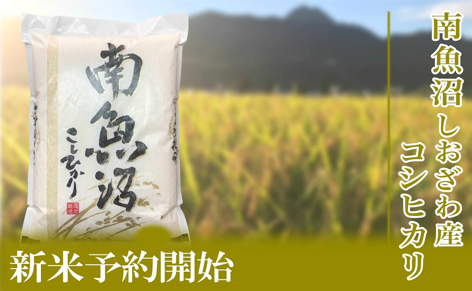 【令和8年産　新米予約】定期便／２kg×12ヶ月&nbsp;生産者限定&nbsp;南魚沼しおざわ産コシヒカリ【定期便&nbsp;銘柄米&nbsp;ブランド米&nbsp;精米&nbsp;こしひかり&nbsp;コシヒカリ&nbsp;魚沼産&nbsp;新潟米&nbsp;ごはん】【2026年10月上旬から1ヶ月以内に順次発送予定】