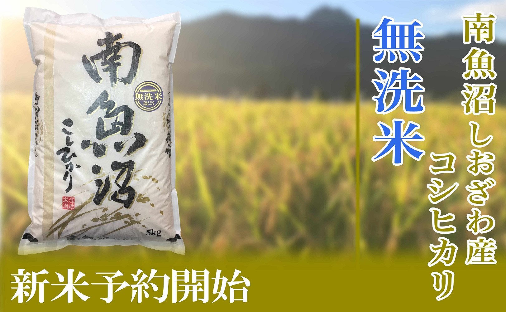 【令和8年産　新米予約】定期便６ヶ月【無洗米】5kg南魚沼しおざわ産コシヒカリ【2026年10月上旬から1ヶ月以内に順次発送予定】