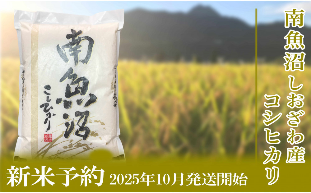 【令和7年産】定期便３ヶ月【無洗米】10kg南魚沼しおざわ産コシヒカリ