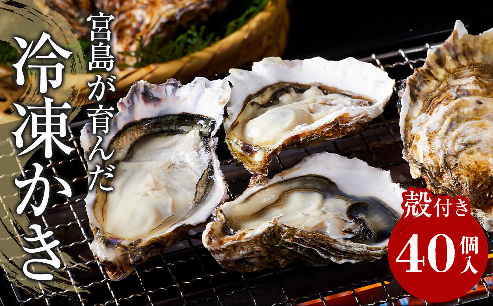 【加熱用】宮島が育んだ冷凍かき(殻付き)40個