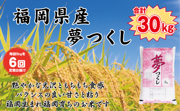 【定期便全6回】【令和7年産新米】【食味鑑定士厳選】福岡県産&nbsp;夢つくし5kg&nbsp;(5kg×1袋)&nbsp;合計&nbsp;30kg