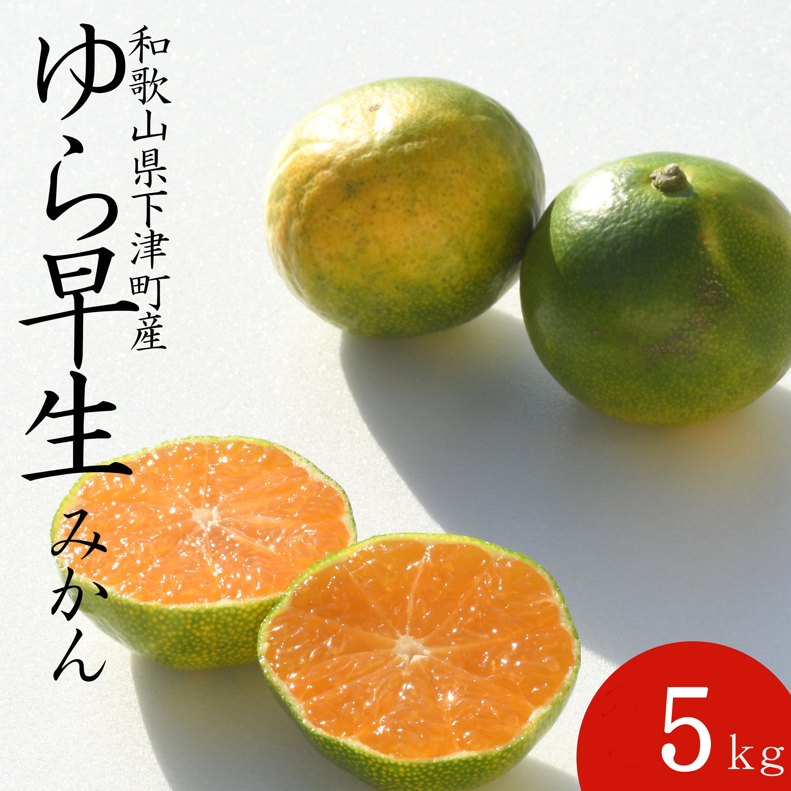【極早生みかん】ゆら早生&nbsp;みかん&nbsp;5kg&nbsp;家庭用&nbsp;2S・3S混合サイズ&nbsp;和歌山県海南市産&nbsp;産地直送