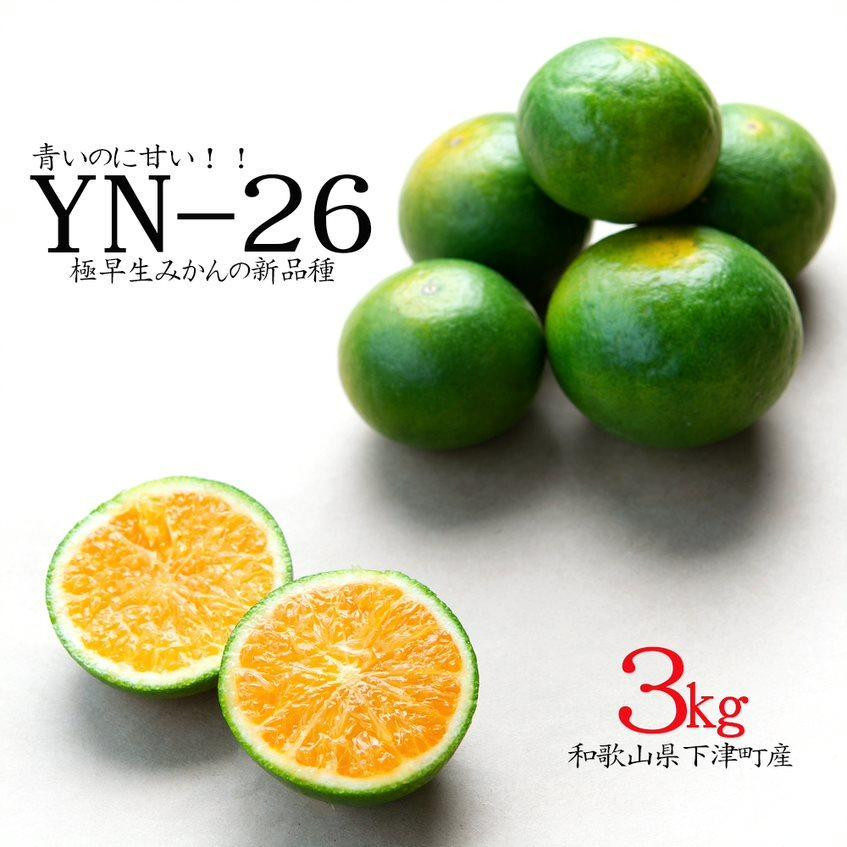 極早生みかん&nbsp;YN26&nbsp;約3kg&nbsp;2S・S・Mサイズ&nbsp;赤秀&nbsp;和歌山県海南市産&nbsp;農園直送&nbsp;まごころ産直みかん&nbsp;【9月より順次発送】【北海道・沖縄県・一部離島&nbsp;配送不可】YN26&nbsp;ゆら早生&nbsp;和歌山&nbsp;ミカン&nbsp;蜜柑&nbsp;果物&nbsp;フルーツ&nbsp;贈答用&nbsp;少量サイズ&nbsp;厳選［Mg33］