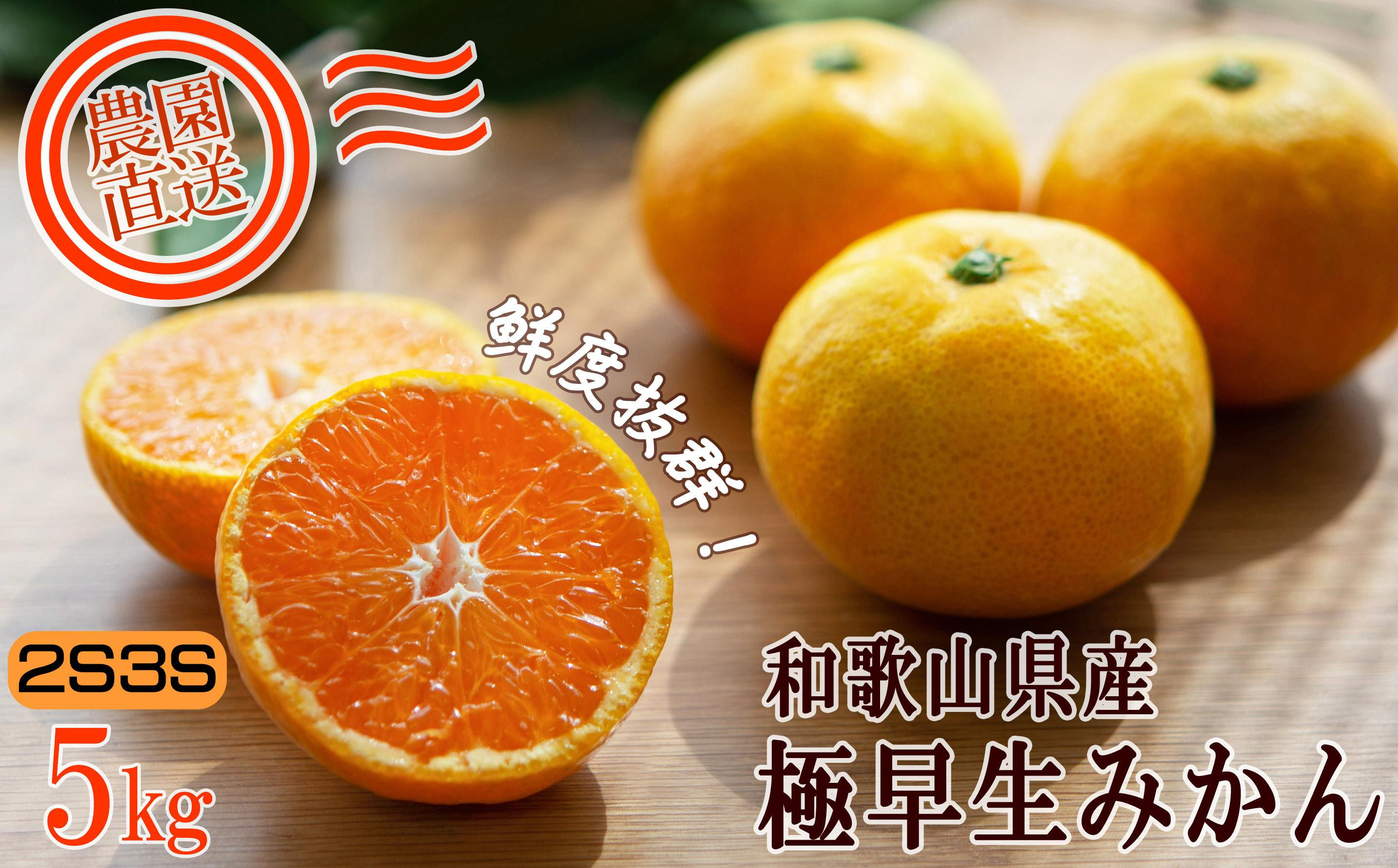 小玉みかん&nbsp;約5kg&nbsp;2S3S混合サイズ&nbsp;訳あり&nbsp;和歌山県産&nbsp;農園直送&nbsp;まごころ産直みかん&nbsp;【10月～11月頃発送】【北海道・沖縄県・一部離島&nbsp;配送不可】下津&nbsp;極早生みかん［Mg38］