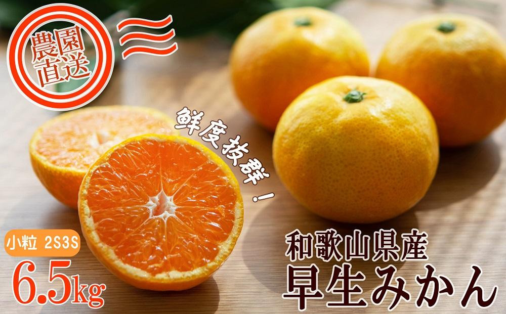 早生みかん&nbsp;約6.5kg&nbsp;小粒2S・3S混合&nbsp;《ご家庭用》&nbsp;和歌山県産&nbsp;農園直送&nbsp;まごころ産直みかん&nbsp;【北海道・沖縄県・一部離島&nbsp;配送不可】&nbsp;ちょっと訳あり&nbsp;希少&nbsp;小粒みかん&nbsp;SSサイズ&nbsp;小玉&nbsp;わけあり&nbsp;訳アリ&nbsp;［Mg55］