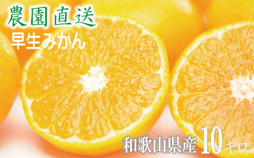 【早生みかん】みかん&nbsp;10kg&nbsp;家庭用&nbsp;2S・3S混合&nbsp;和歌山県海南市産&nbsp;産地直送