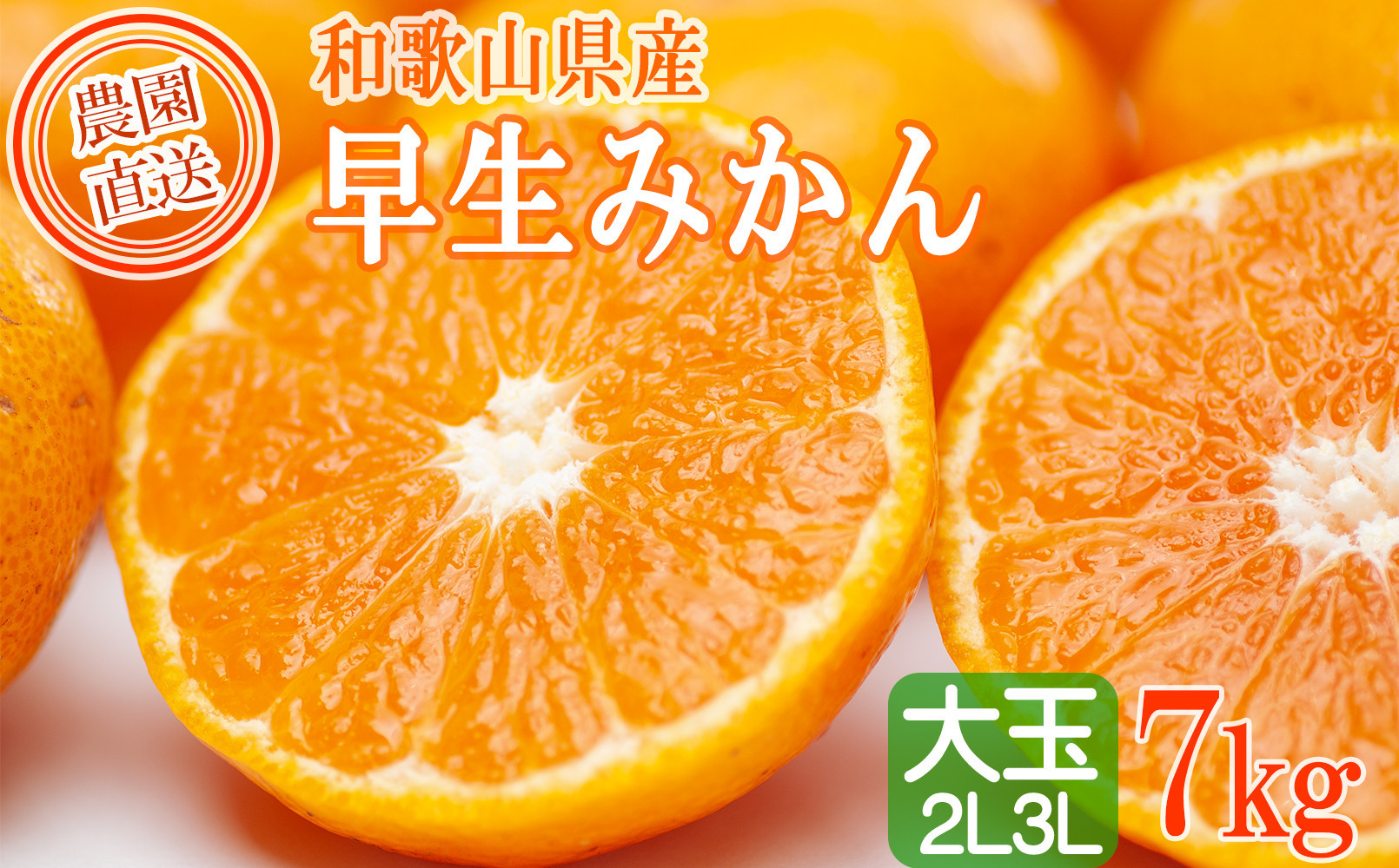 早生みかん 約7kg 大玉 2L・3Lサイズおまかせ 《ご家庭用》 和歌山県産 農園直送 まごころ産直みかん 【北海道・沖縄県・一部離島 配送不可】大きい 蜜柑 温州みかん ちょっと訳あり　わけあり 訳アリ ［Mg50］