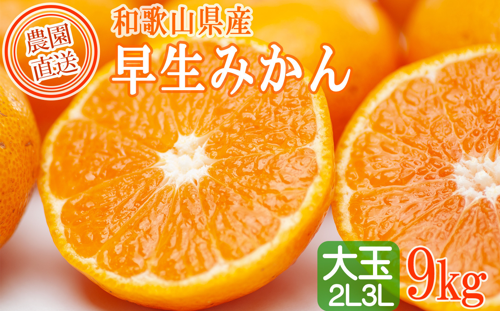 早生みかん&nbsp;約9kg&nbsp;大玉&nbsp;2L・3Lサイズおまかせ&nbsp;《ご家庭用》&nbsp;和歌山県産&nbsp;農園直送&nbsp;まごころ産直みかん&nbsp;【北海道・沖縄県・一部離島&nbsp;配送不可】大きい&nbsp;蜜柑&nbsp;温州みかん&nbsp;ちょっと訳あり&nbsp;わけあり&nbsp;訳アリ&nbsp;［Mg51］