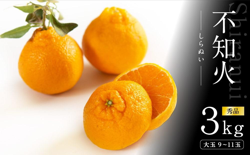 不知火&nbsp;約3kg&nbsp;大玉9～11玉入り&nbsp;《赤秀》&nbsp;和歌山県産&nbsp;農園直送&nbsp;まごころ産直みかん&nbsp;【北海道・沖縄県・一部離島&nbsp;配送不可】&nbsp;みかん&nbsp;果物&nbsp;柑橘&nbsp;しらぬい&nbsp;デコポンと同じ品種&nbsp;でこぽん&nbsp;［Mg52］