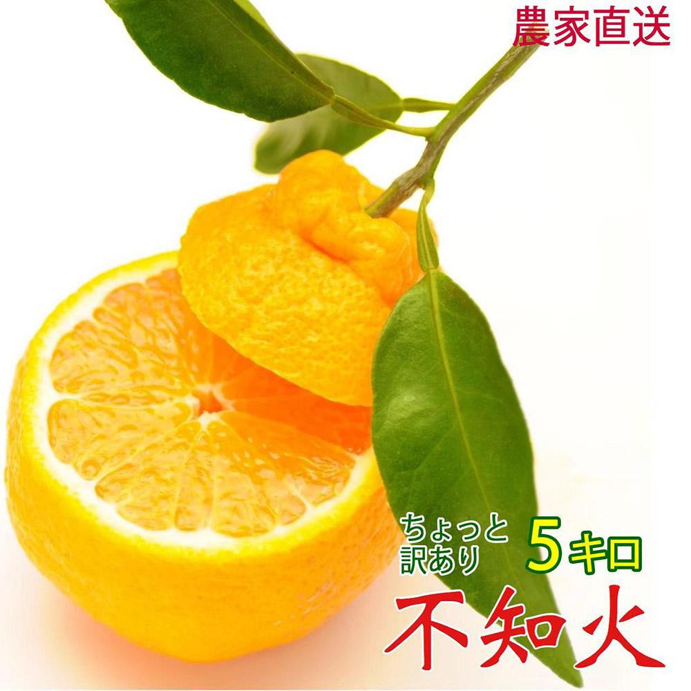 不知火&nbsp;約5kg&nbsp;24～28玉&nbsp;《ご家庭用》&nbsp;ちょっと訳あり&nbsp;和歌山県産&nbsp;農園直送&nbsp;まごころ産直みかん&nbsp;【北海道・沖縄県・一部離島&nbsp;配送不可】訳アリ&nbsp;わけあり&nbsp;みかん&nbsp;しらぬい&nbsp;デコポンと同じ品種&nbsp;でこぽん&nbsp;［Mg57］