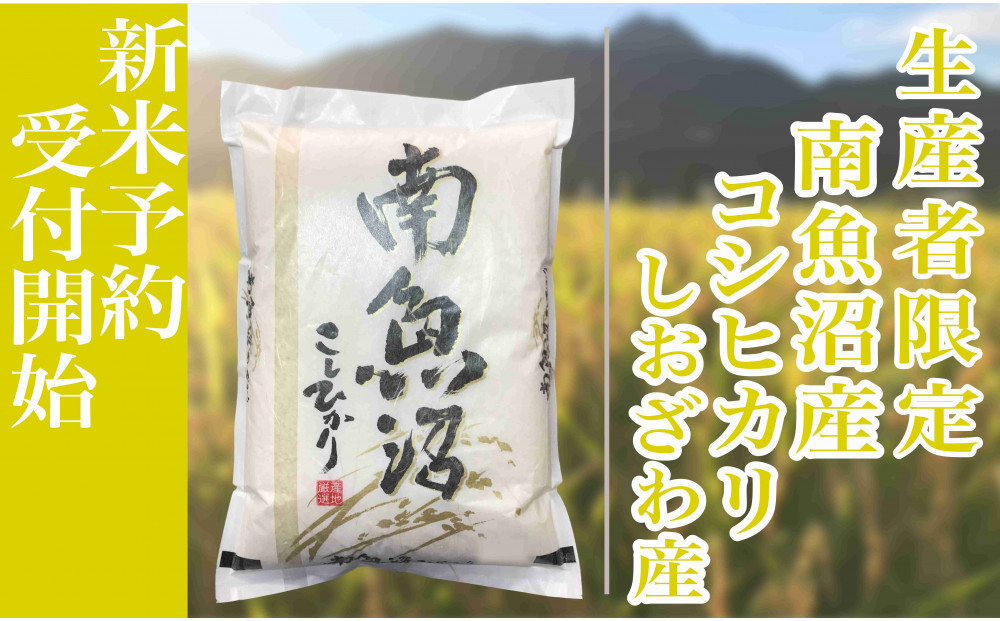 【令和8年産　新米予約】定期便３ヶ月：精米10kg生産者限定&nbsp;南魚沼しおざわ産コシヒカリ【2026年10月上旬から1ヶ月以内に順次発送予定】