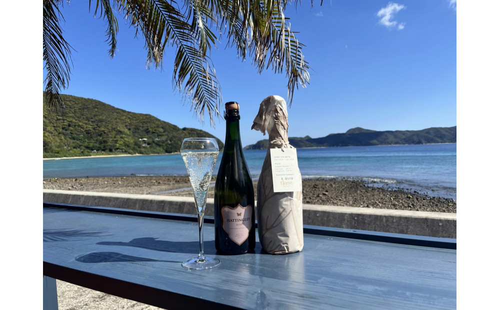 tlass&nbsp;SEA&nbsp;CELLAR&nbsp;-2025&nbsp;2nd&nbsp;Edition-&nbsp;海底熟成スパークリング&nbsp;750ml×1本