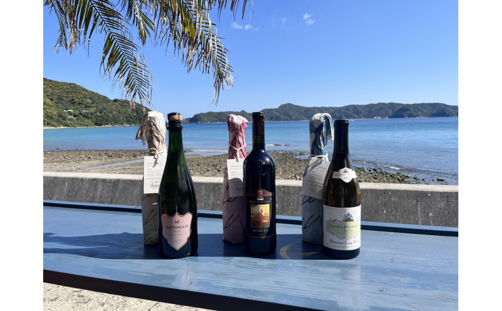 tlass&nbsp;SEA&nbsp;CELLAR&nbsp;-2025&nbsp;2nd&nbsp;Edition-&nbsp;海底熟成前後飲み比べワイン&nbsp;白・赤・スパークリング&nbsp;750ml×6本セット