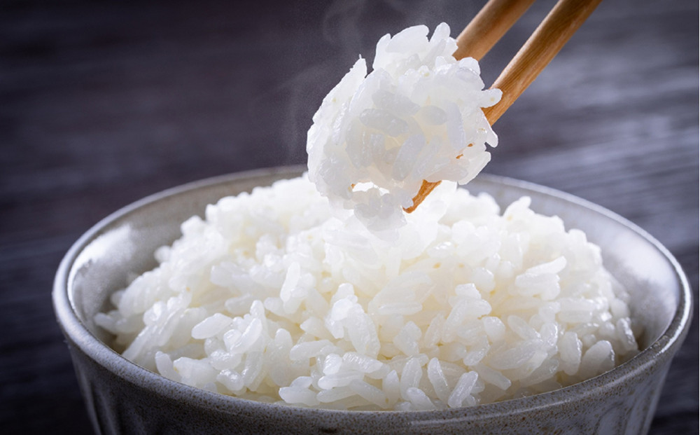 令和7年度産&nbsp;新米&nbsp;コシヒカリ&nbsp;5kg&nbsp;米