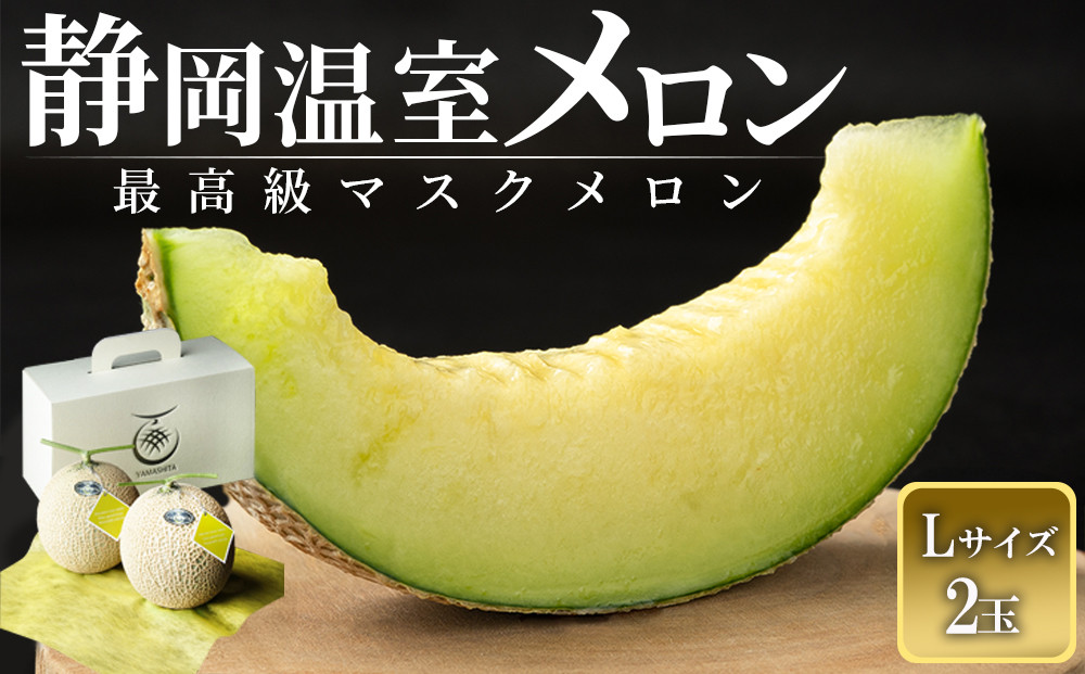 静岡温室メロン Ｌ玉1.6kg～1.7kg ×２玉　最高級のマスクメロン　山下メロン園　高級果実店に仕入るほどの自信のあるメロン  ギフト  メロン めろん 箱詰め フルーツ 果物  産地直送 甘いメロン 糖度 青肉