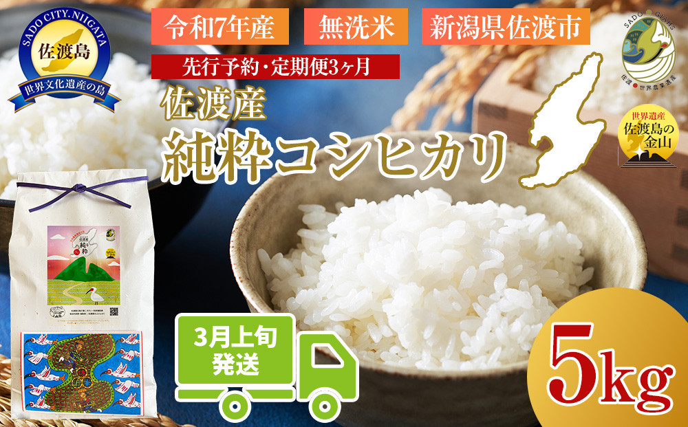 ＜定期便3回＞【令和７年産・数量限定】新潟県佐渡産の純粋コシヒカリ　精米【無洗米】5kg×3回　送料無料　R8年&nbsp;&nbsp;3月上旬～R8年5月上旬の3回送付
